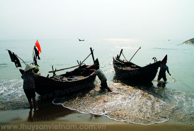 ngư dân thanh hóa khai thác thủy sản gần bờ